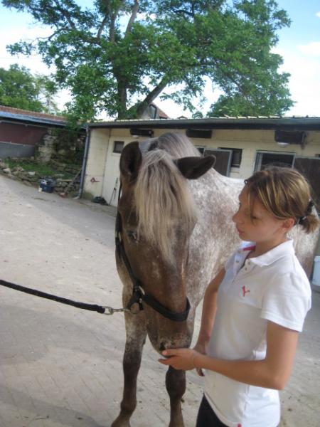 Anneso et lougarou